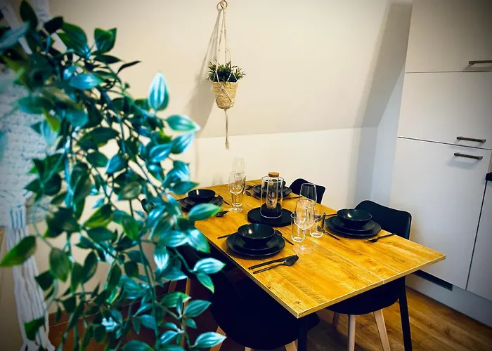 One Apartment's - Zentral - Steinweg *